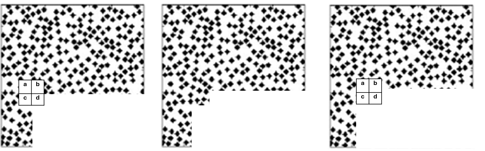 Exemple de l’application d’un algorithme de simulation par patch.